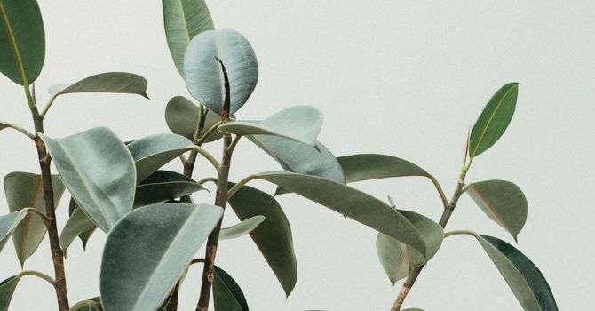 Counselling  and Psychotherapy 