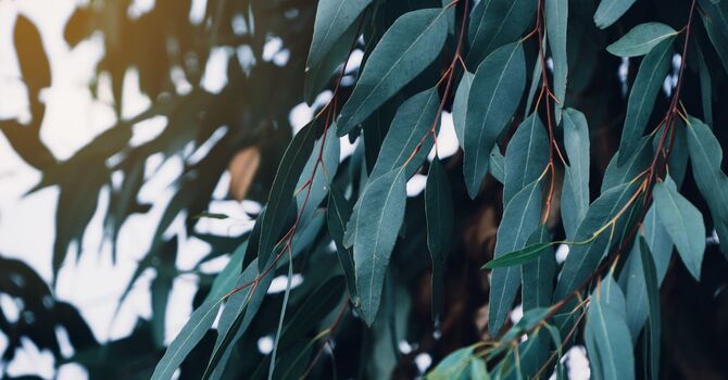 Counselling  and Psychotherapy 